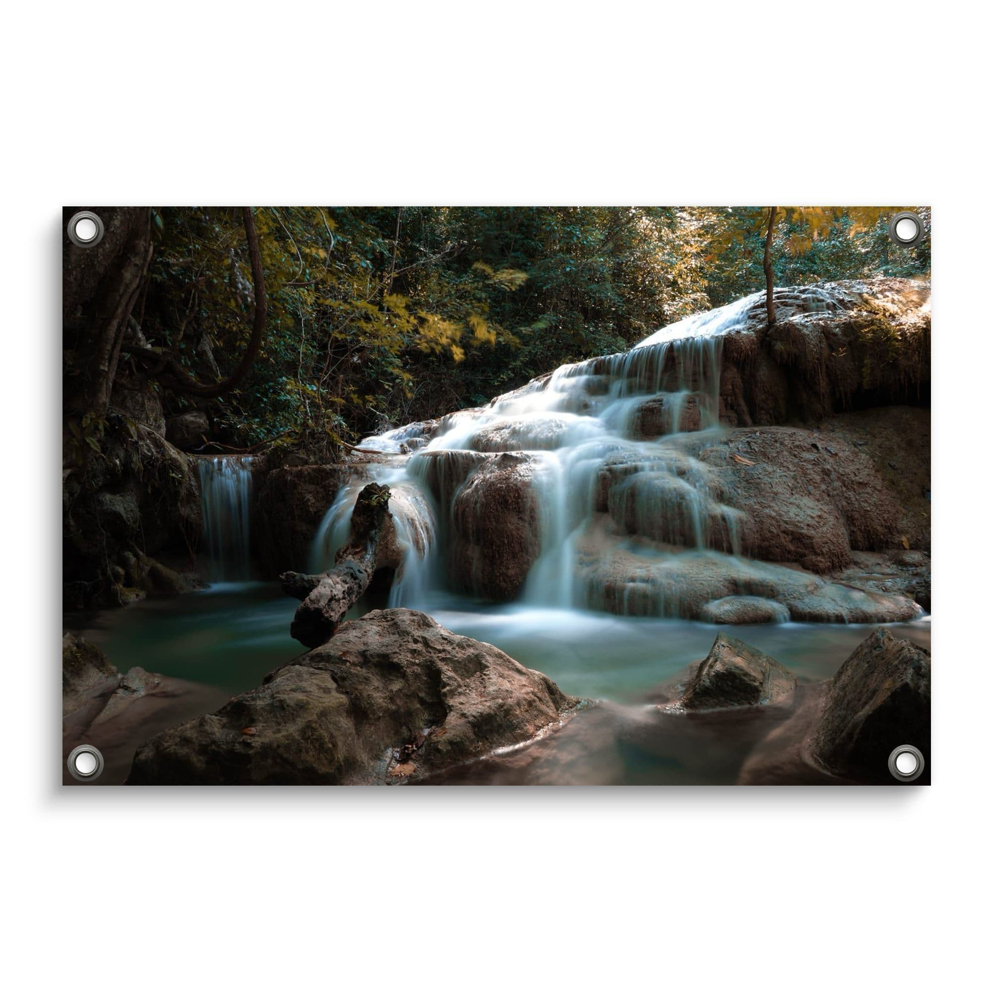 Cascade Forest