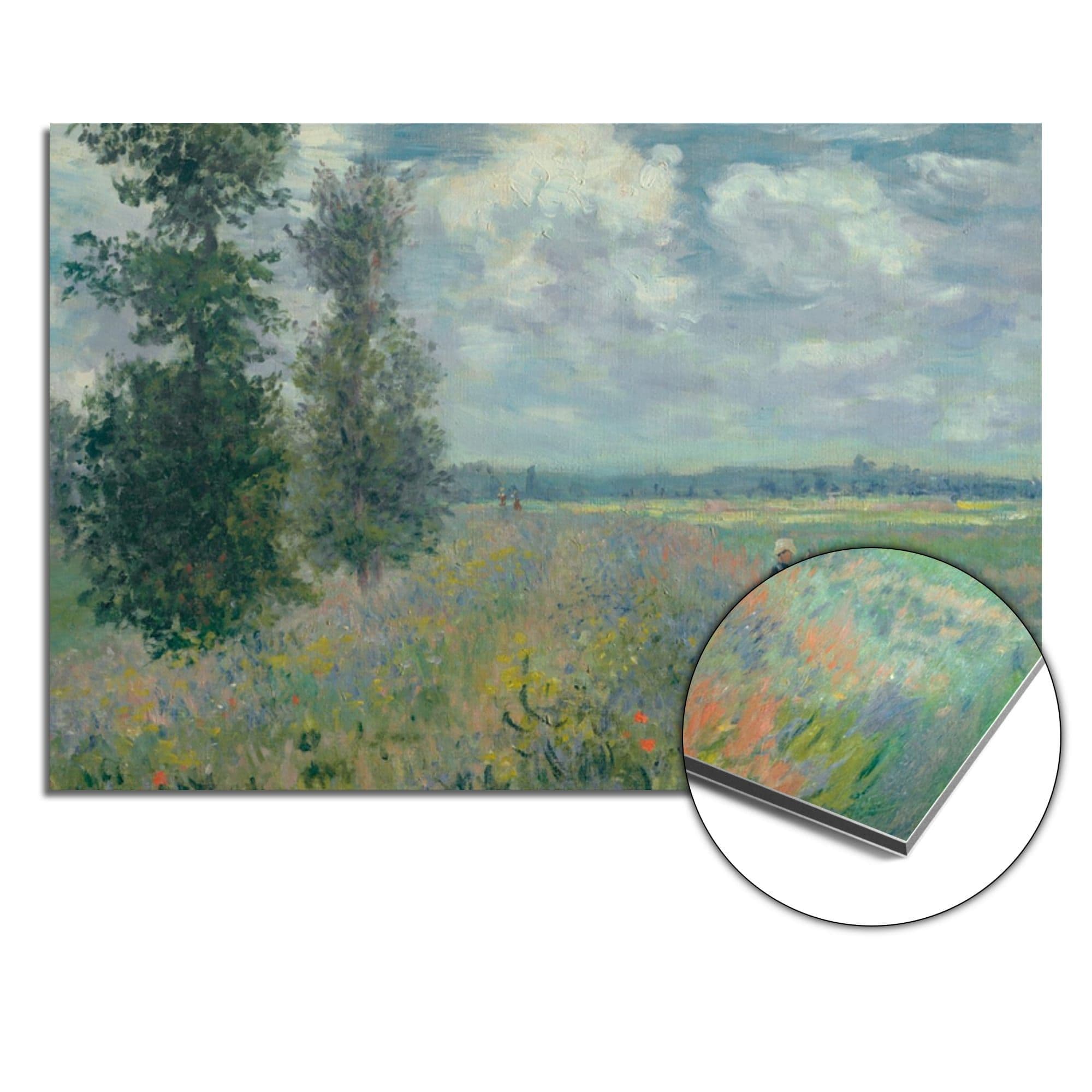 Papaverveld Spatscherm