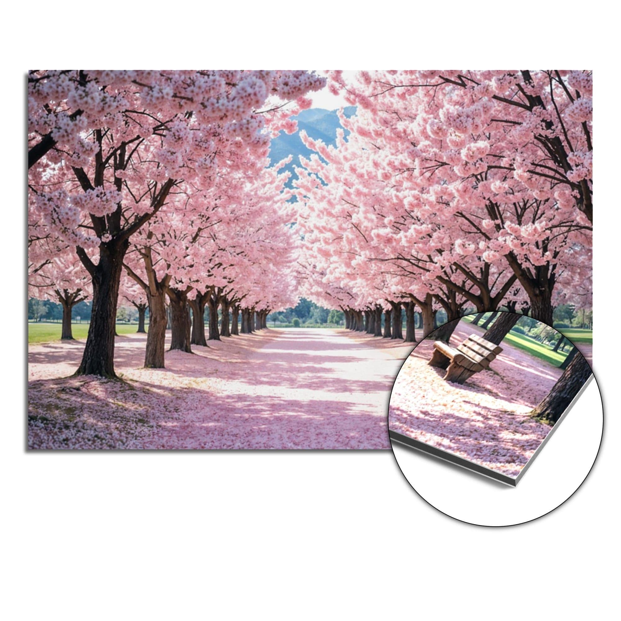 Sakura Bliss Spatscherm