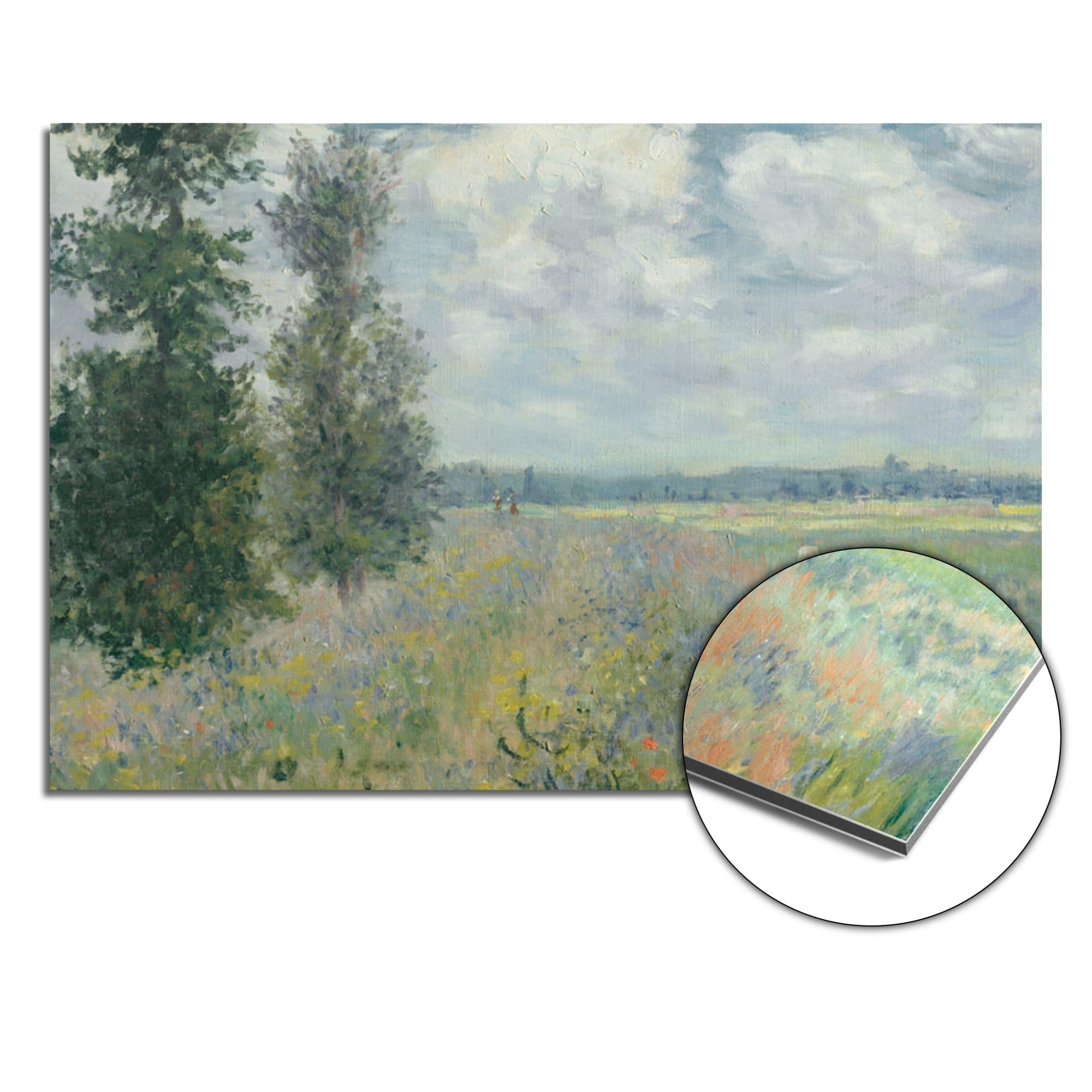 Klaprozenveld bij Argenteuil - Claude Monet Spatscherm